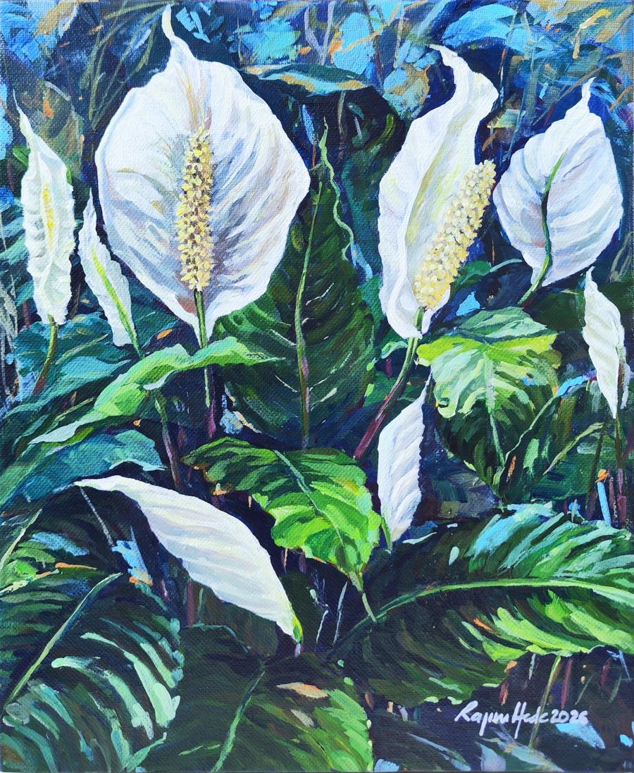 Peace Lilies
