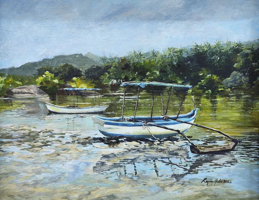Boats at Palolem
